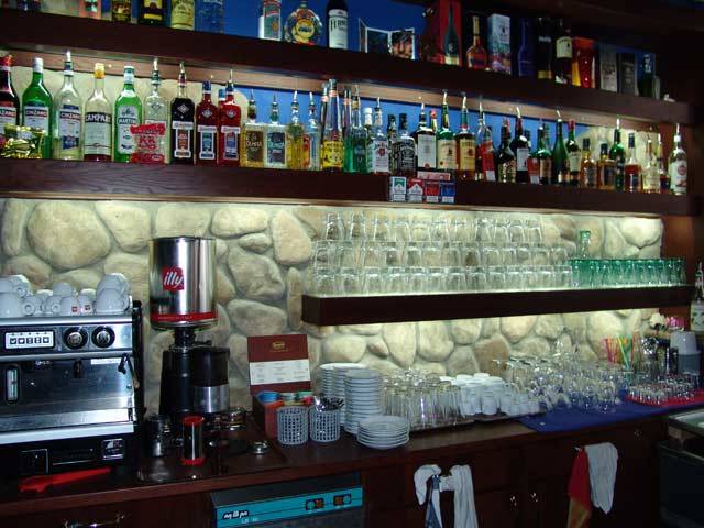 Amazonia hinter der Bar