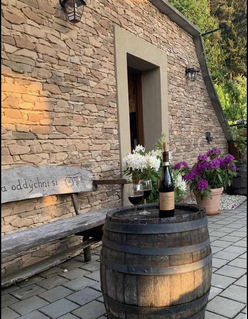 Eingang zum Weinkeller mit Steinverblender Rock Vrsatec brown verkleidet
