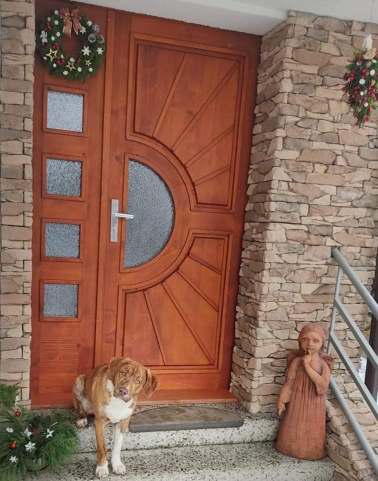 Verblende Rock Vrsatec brown mit Ecksausbildung zur Verschönerung des Eingangsbereichs (Hund ist nicht inklusive)